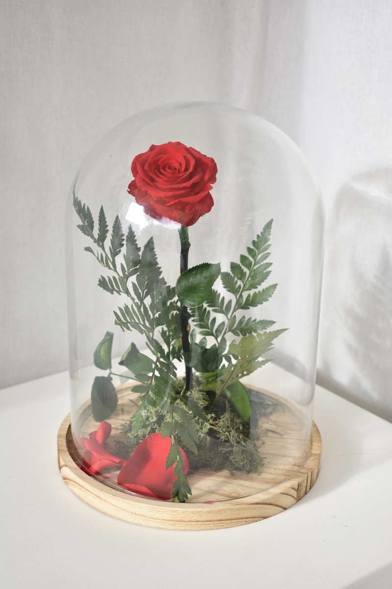 Rosa roja preservada - El Ramo de Flores en Ibiza Rosas a Domicilio